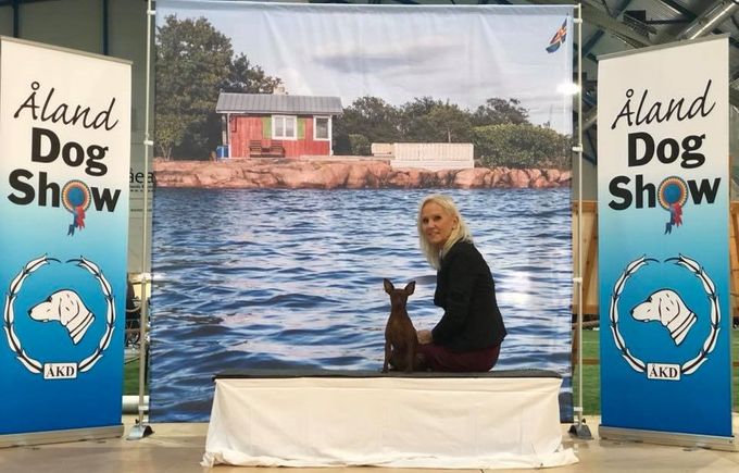 Åland dogshow 2018 Krystal Claudia Gaudini Greenvalley